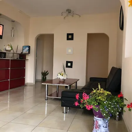 Отель Julia Костинешти