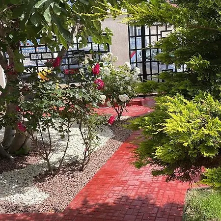 Julia Отель Костинешти