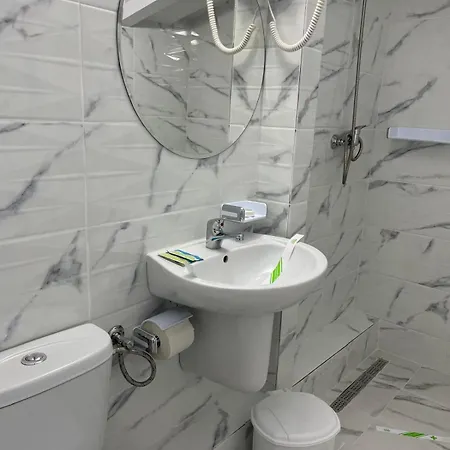 Отель Julia Костинешти