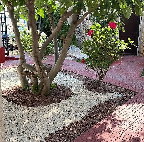 Hotel Julia Costinesti