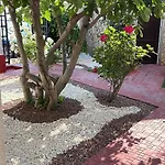 Hotel Julia Costinesti