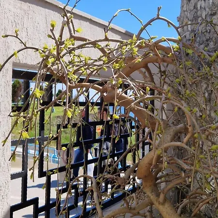 Hotel Julia Costinesti