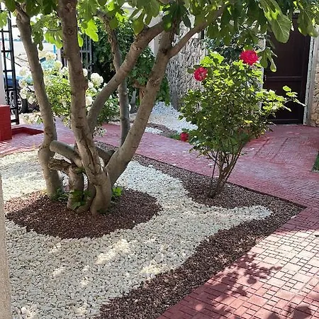 Hotel Julia Costinesti