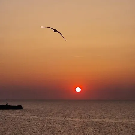 Julia 3* Costinești