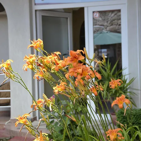 Julia Hotel